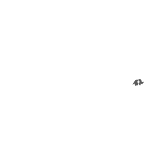 SD Team